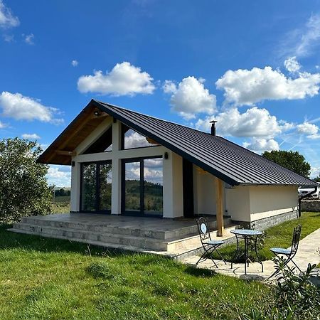 Casa Moderna In Sinteu - Intersectia Intre Modern Si Linistea Naturii Huta Voivozi Экстерьер фото