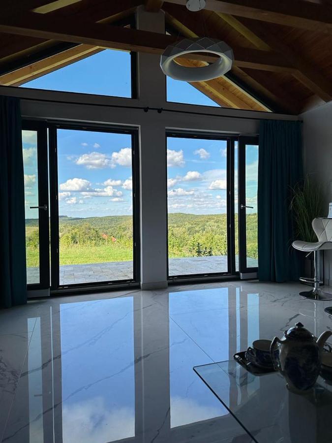 Casa Moderna In Sinteu - Intersectia Intre Modern Si Linistea Naturii Huta Voivozi Экстерьер фото