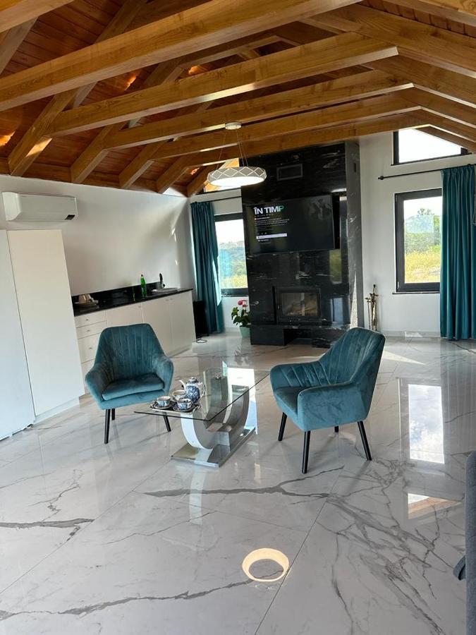 Casa Moderna In Sinteu - Intersectia Intre Modern Si Linistea Naturii Huta Voivozi Экстерьер фото