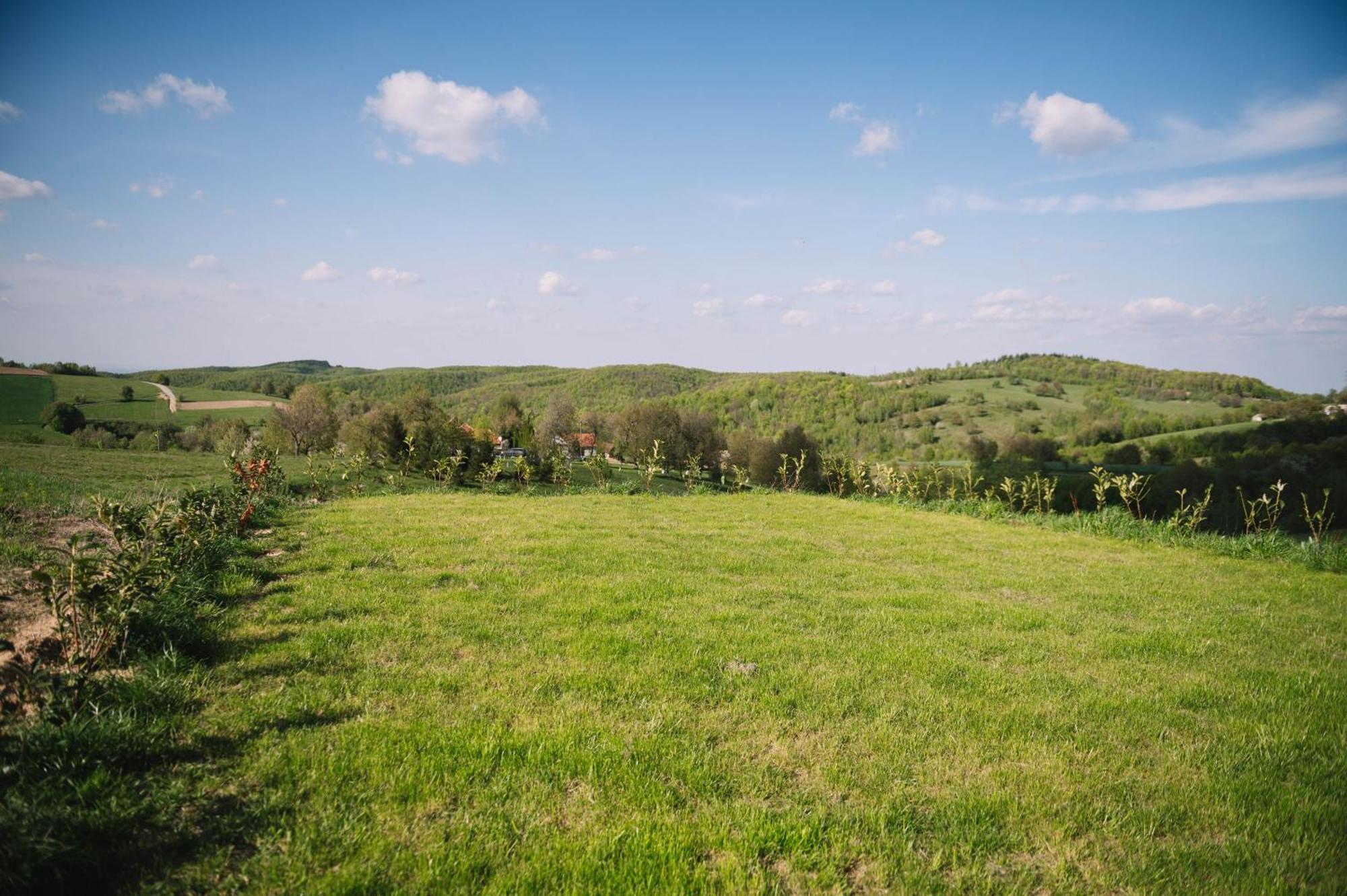 Casa Moderna In Sinteu - Intersectia Intre Modern Si Linistea Naturii Huta Voivozi Экстерьер фото